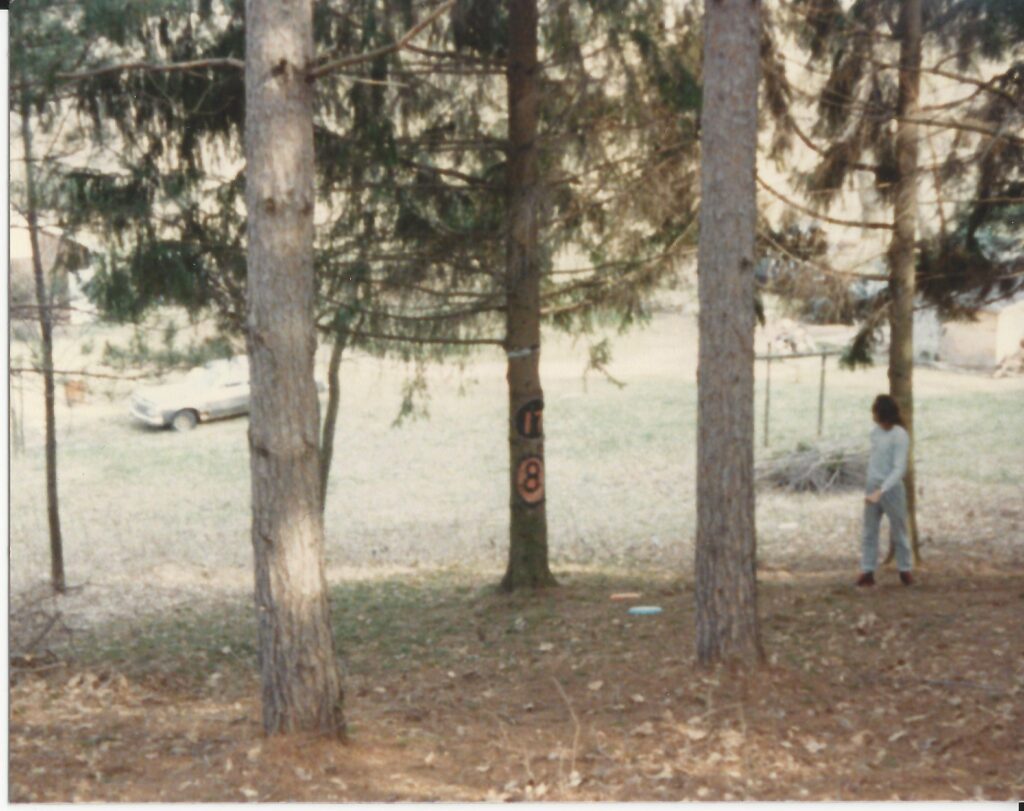 HOLE 17 1988